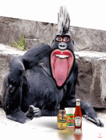 Image:03-3.gif
