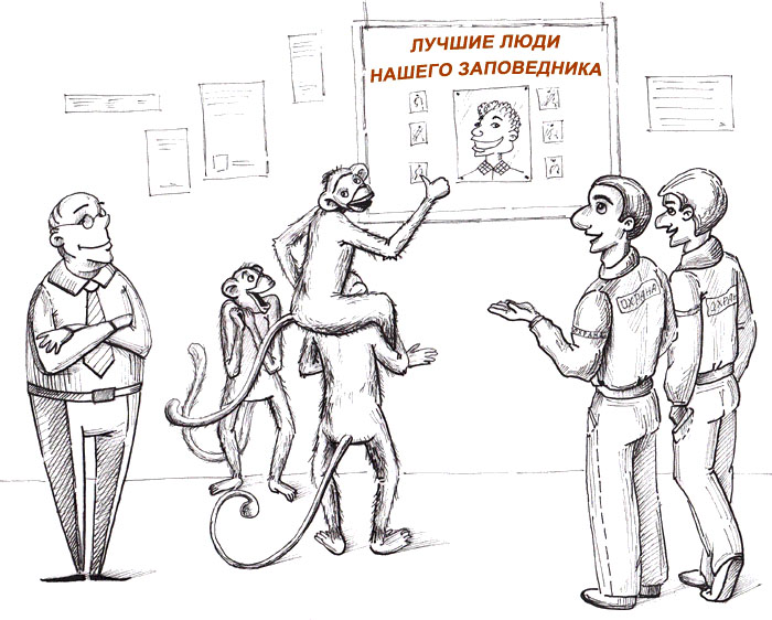 Image:05.jpg