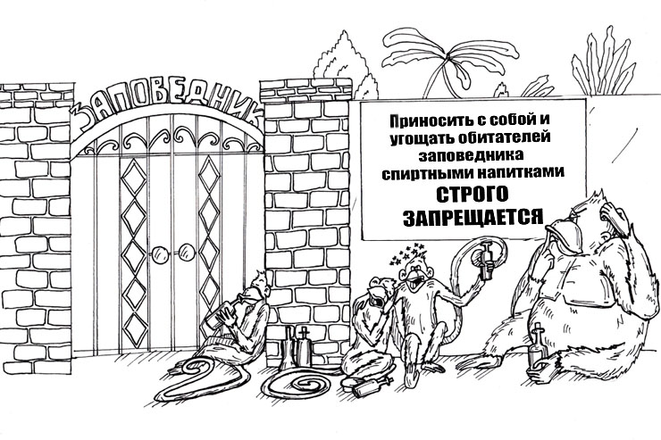 Image:19.jpg